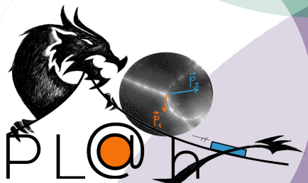 Course Role-Playing Games and Laboratories@home for the remote teaching of Physics courses