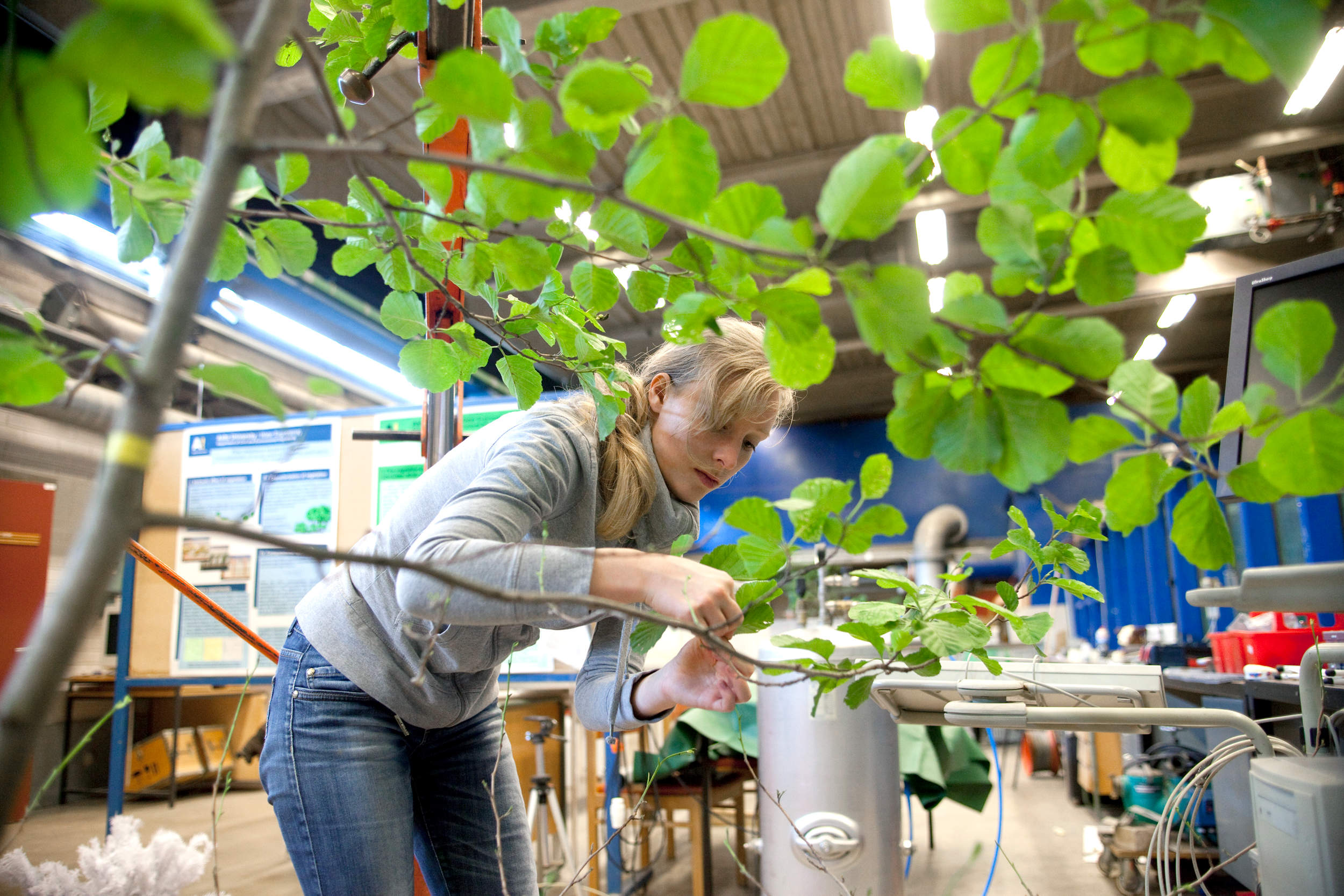 Course Sustainability in Teaching